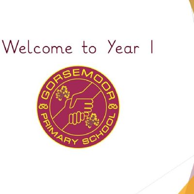 Year 1 Overview